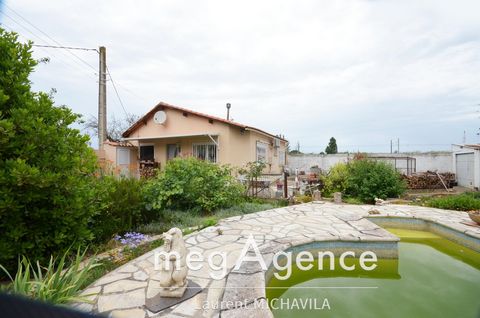 photo no. 11