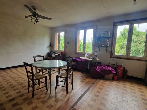 photo no. 2