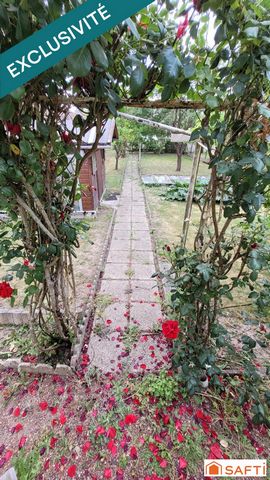 photo no. 3