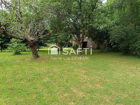 photo no. 15