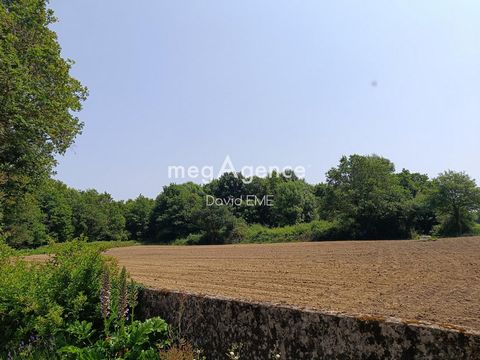 photo no. 13