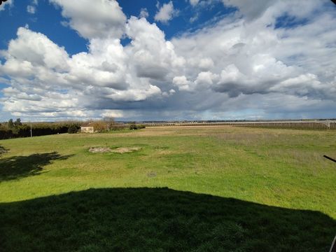photo no. 16