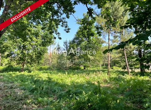 Terrain plat à bâtir de 1100m2