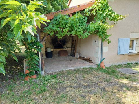 photo no. 10