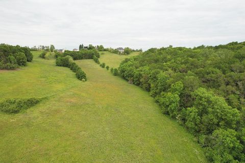 photo no. 3