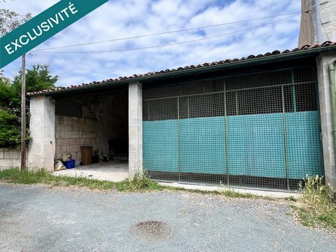 photo no. 3
