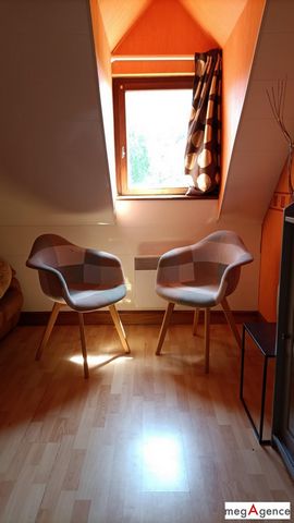 photo no. 10