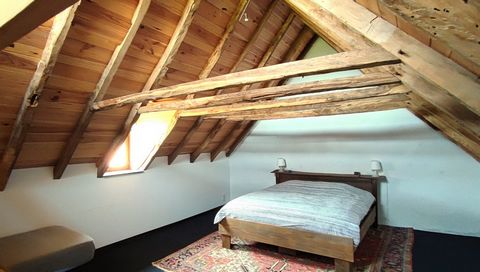 photo no. 12