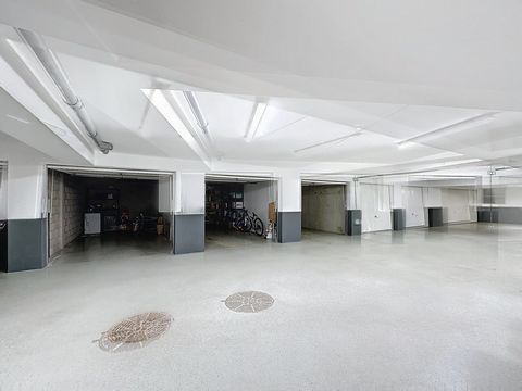 photo no. 14