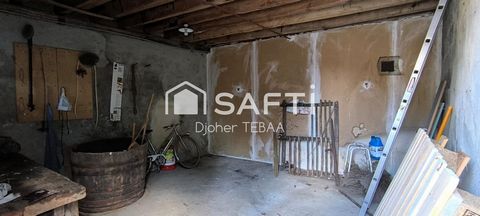 photo no. 10