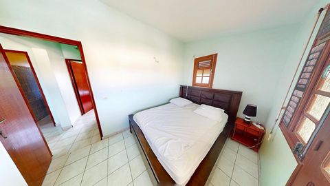photo no. 11