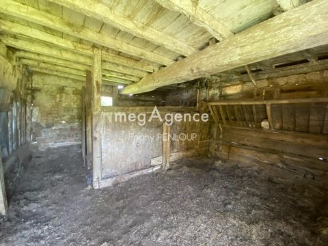 photo no. 3