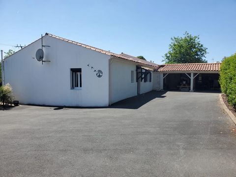 photo no. 14