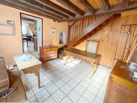 photo no. 6