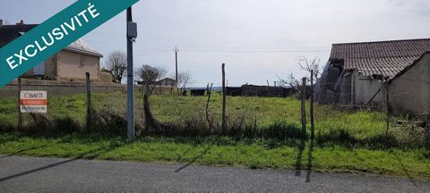 photo no. 5