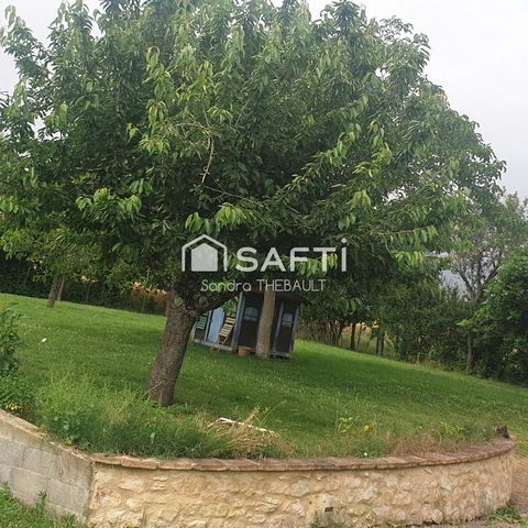 photo no. 8