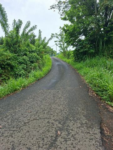photo no. 3
