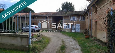 photo no. 13