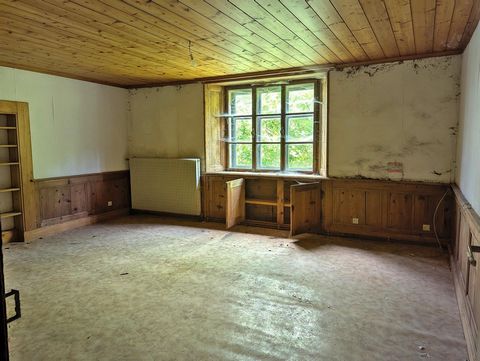 photo no. 2