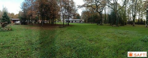 photo no. 12