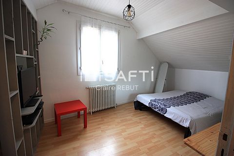 photo no. 11