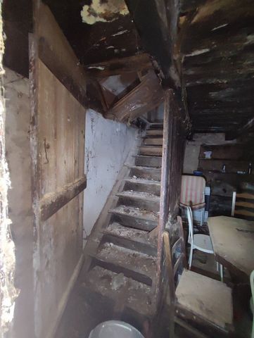 photo no. 9