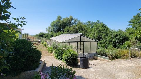 photo no. 4