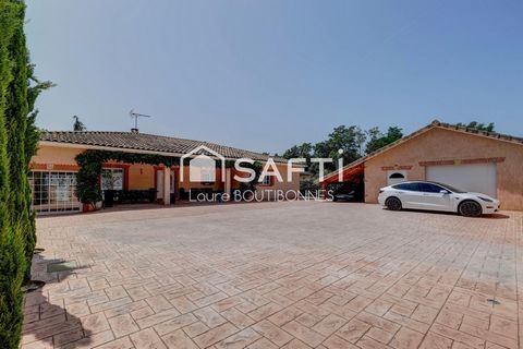 photo no. 13