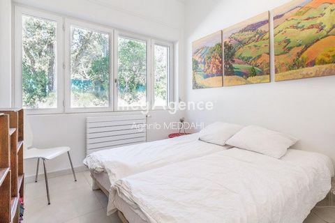 photo no. 13