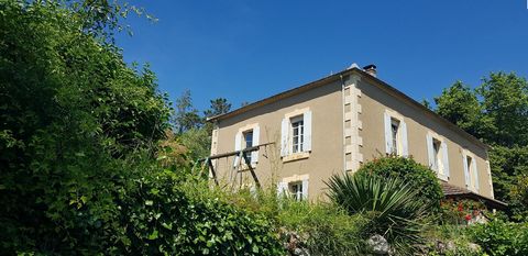 photo no. 1