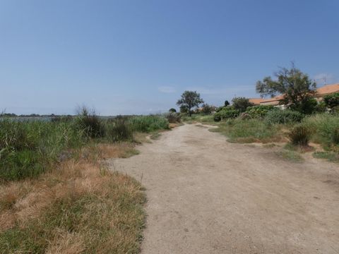photo no. 9
