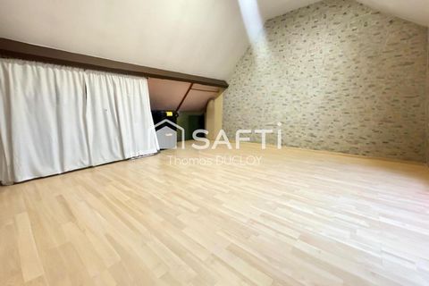 photo no. 11