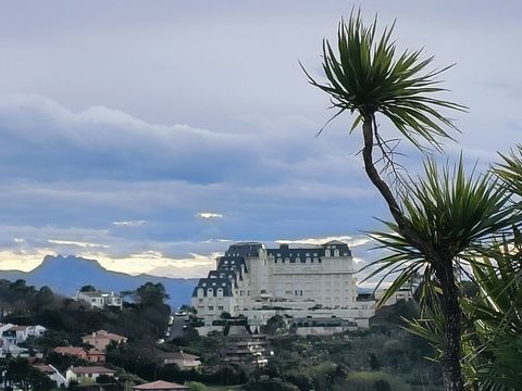 photo no. 10