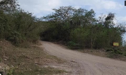 For Sale 12.69 acres of Flat level land off the Highway 2000 and left of the New Bridge connecting the New Williams field high way. Close to a quarry, gun-range, May Pen, and high schools. Smack in the Middle of Jamaica with heavy traffic Great locat...