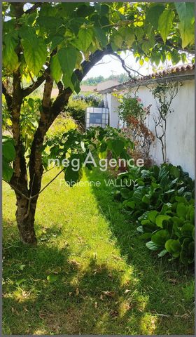 photo no. 10