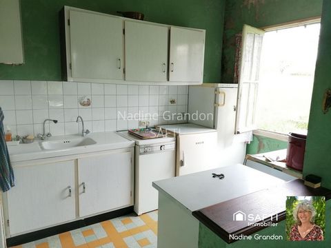 photo no. 13