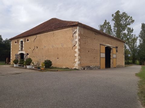photo no. 11