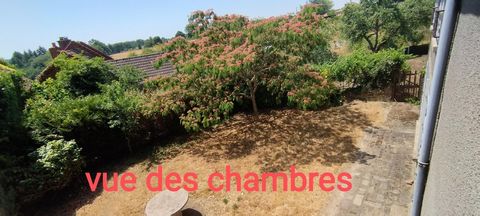 photo no. 17