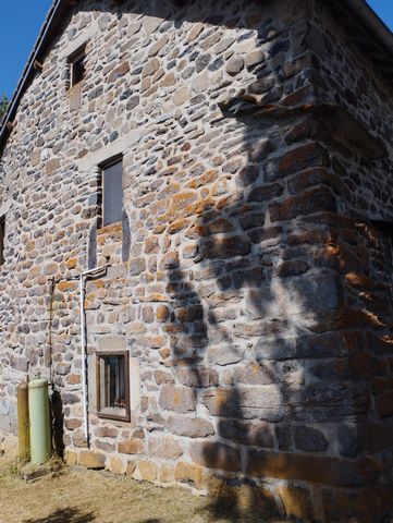 photo no. 16