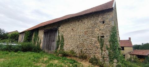 photo no. 4