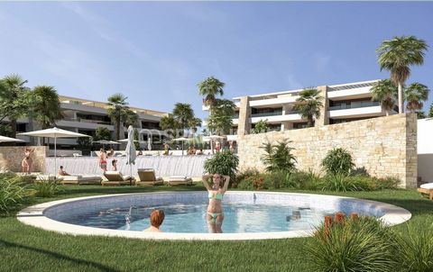 Pisos Modernos de 2-3 Dormitorios con Grandes Terrazas en Monforte del Cid Los ... ofrecen 2 o 3 dormitorios y 2 o 3 baños, con tamaños que van desde 88 m² a 136 m². Las viviendas de planta baja disponen de terrazas con doble orientación, mientras qu...