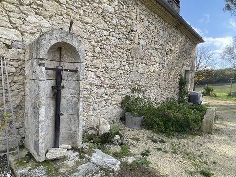 photo no. 21
