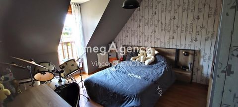 photo no. 11