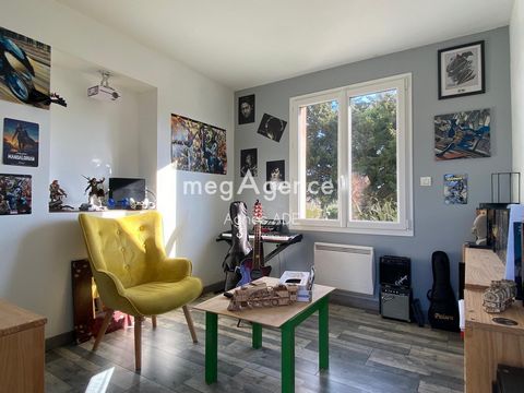 photo no. 11
