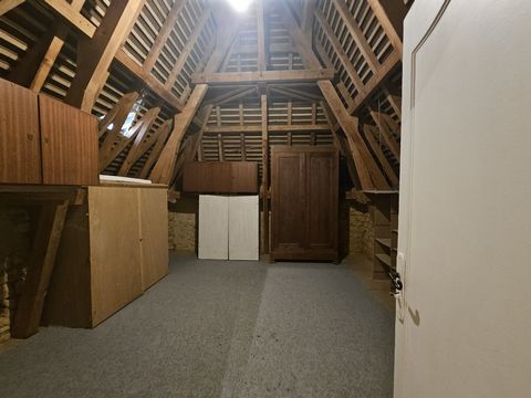 photo no. 11
