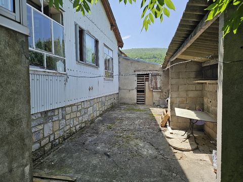 photo no. 10