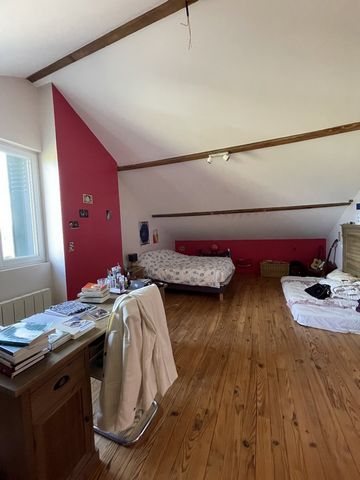 photo no. 14
