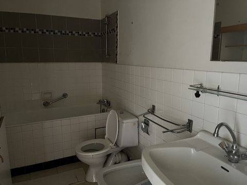 photo no. 6
