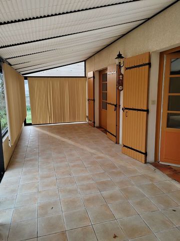 photo no. 3