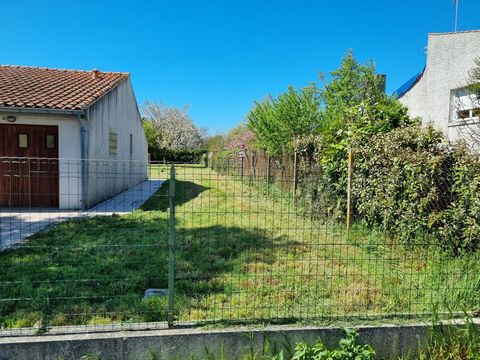 photo no. 2